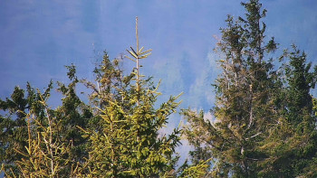 Ski areál SEVERKA v Dolní Lomné