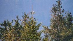 Chata Severka - Dolní Lomná