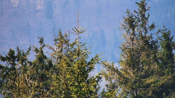 Ski areál SEVERKA v Dolní Lomné