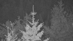 Chata Severka - Dolní Lomná