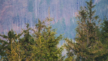 Ski areál SEVERKA v Dolní Lomné