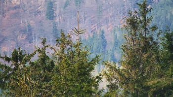 Ski areál SEVERKA v Dolní Lomné