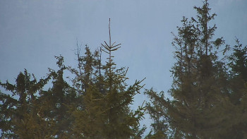 Ski areál SEVERKA v Dolní Lomné