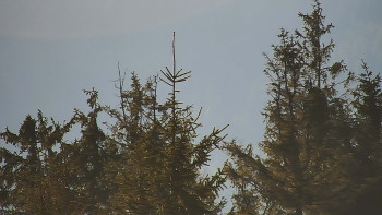 Ski areál SEVERKA v Dolní Lomné