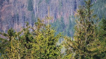 Ski areál SEVERKA v Dolní Lomné