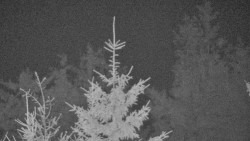 Chata Severka - Dolní Lomná