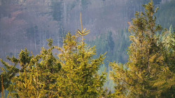 Chata Severka - Dolní Lomná