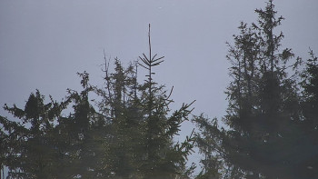 Ski areál SEVERKA v Dolní Lomné