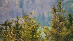 Chata Severka - Dolní Lomná