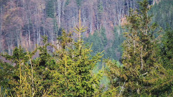 Chata Severka - Dolní Lomná