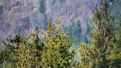 Chata Severka - Dolní Lomná