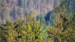 Chata Severka - Dolní Lomná
