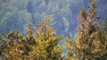 Ski areál SEVERKA v Dolní Lomné