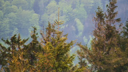 Chata Severka - Dolní Lomná