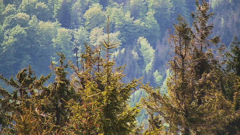Ski areál SEVERKA v Dolní Lomné