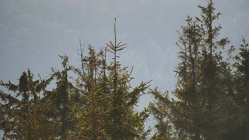 Ski areál SEVERKA v Dolní Lomné