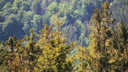 Chata Severka - Dolní Lomná