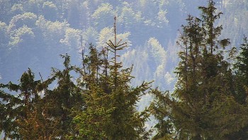 Ski areál SEVERKA v Dolní Lomné