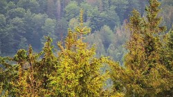 Chata Severka - Dolní Lomná