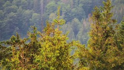 Chata Severka - Dolní Lomná