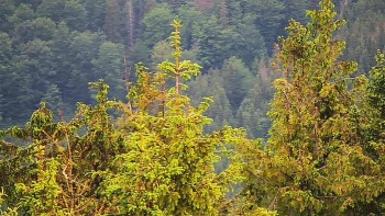 Ski areál SEVERKA v Dolní Lomné