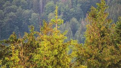 Chata Severka - Dolní Lomná