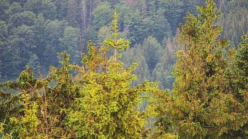 Ski areál SEVERKA v Dolní Lomné