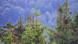 Chata Severka - Dolní Lomná