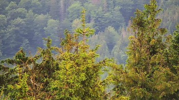 Ski areál SEVERKA v Dolní Lomné