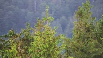 Ski areál SEVERKA v Dolní Lomné