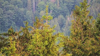 Ski areál SEVERKA v Dolní Lomné