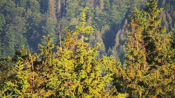 Ski areál SEVERKA v Dolní Lomné