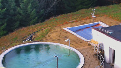 Chata Severka - Dolní Lomná