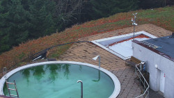 Chata Severka - Dolní Lomná