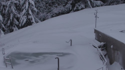 Chata Severka - Dolní Lomná