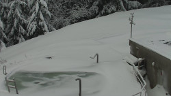 Chata Severka - Dolní Lomná