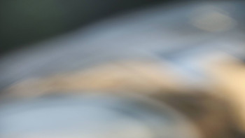 Ski areál SEVERKA v Dolní Lomné