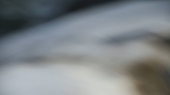 Ski areál SEVERKA v Dolní Lomné