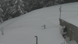 Chata Severka - Dolní Lomná