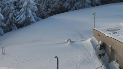 Chata Severka - Dolní Lomná