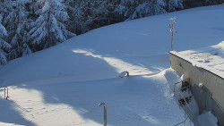 Chata Severka - Dolní Lomná