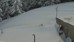 Chata Severka - Dolní Lomná