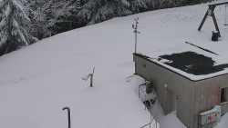 Chata Severka - Dolní Lomná