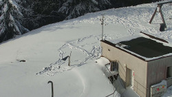 Chata Severka - Dolní Lomná