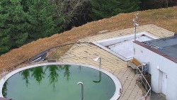 Chata Severka - Dolní Lomná