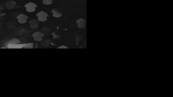 Snímek    24.10.2025 v 21:01