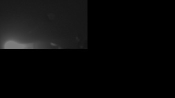 Snímek    25.10.2025 v 03:31