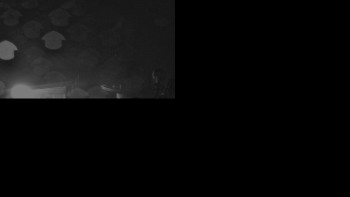 Snímek    27.10.2025 v 19:01