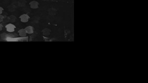 Ski areál SEVERKA v Dolní Lomné - Chata Severka - Dolní Lomná - 28.10.2025 v 00:31 Ski areál SEVERKA v Dolní Lomné - Chata Severka - Dolní Lomná - 28.10.2025 v 00:31