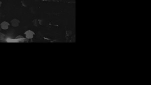 Ski areál SEVERKA v Dolní Lomné - Chata Severka - Dolní Lomná - 28.10.2025 v 03:31 Ski areál SEVERKA v Dolní Lomné - Chata Severka - Dolní Lomná - 28.10.2025 v 03:31